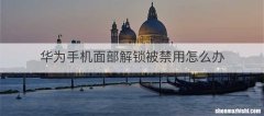 华为手机面部解锁被禁用怎么办