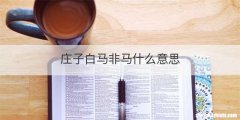 湖南省岳阳市有几家沃尔玛