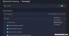 如何更改Windows11笔记本电脑上的触摸板灵敏度