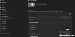 如何在Windows11中使用PowerToys自定义鼠标首选项