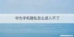 华为手机隐私怎么进入不了