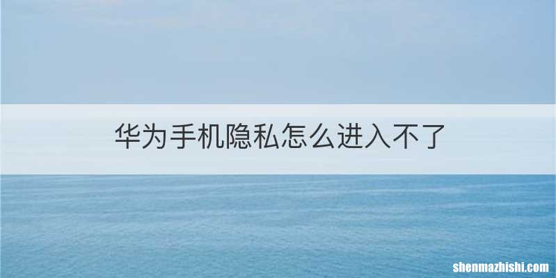 华为手机隐私怎么进入不了