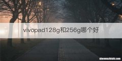 vivopad128g和256g哪个好