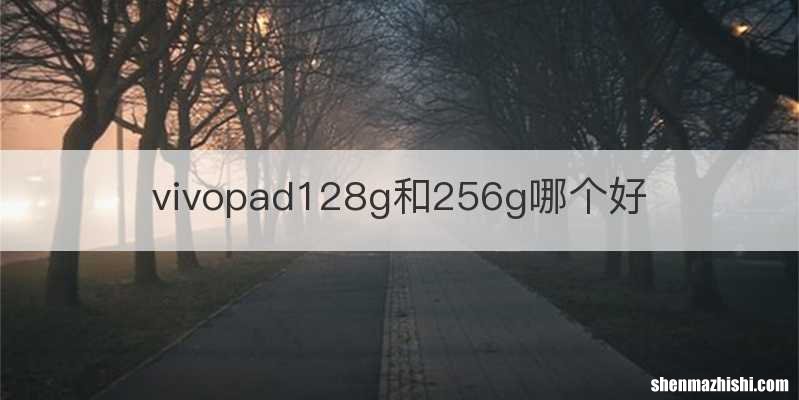 vivopad128g和256g哪个好