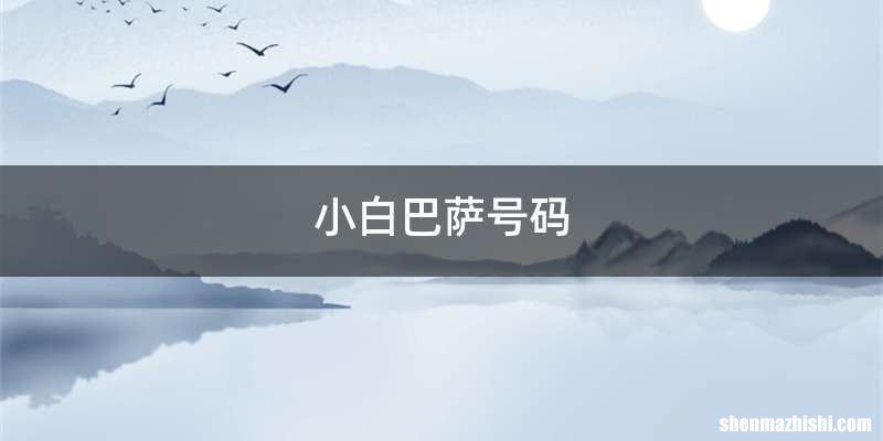 小白巴萨号码