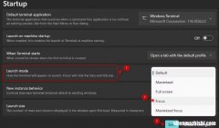 如何进入和退出Windows终端的焦点模式