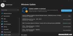 如何降低Windows11电脑的温度和功耗？