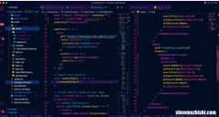 如何在Windows10和11上使用WSL 2设置VS Code