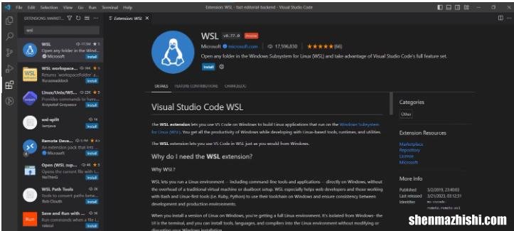如何在Windows10和11上使用WSL 2设置VS Code