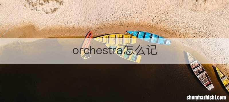 orchestra怎么记
