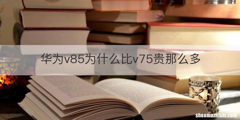 华为v85为什么比v75贵那么多