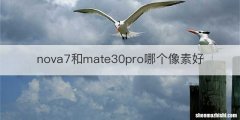 nova7和mate30pro哪个像素好