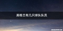 英格兰有几只球队队员
