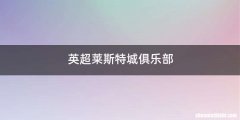 英超莱斯特城俱乐部