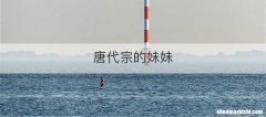 唐代宗的妹妹