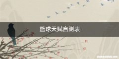 篮球天赋自测表