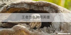 王者怎么共用英雄