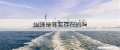 蝠蜂是真实存在的吗