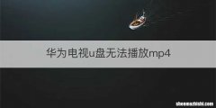 华为电视u盘无法播放mp4