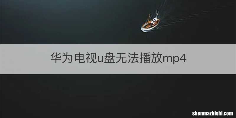 华为电视u盘无法播放mp4