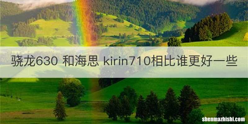 骁龙630 和海思 kirin710相比谁更好一些