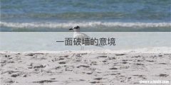 一面破墙的意境