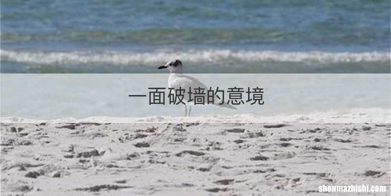 一面破墙的意境