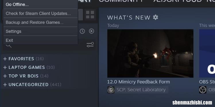 阻止Steam Web Helper使用所有RAM的3种方法