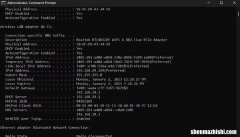 如何在Windows11中查找和更改子网掩码