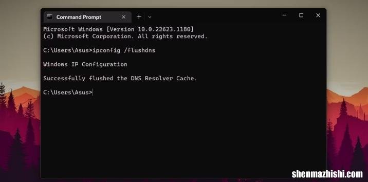 在Windows11上刷新DNS缓存的4种方法