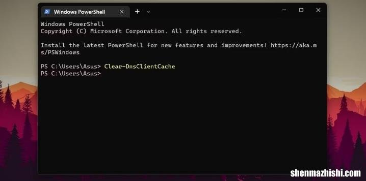 在Windows11上刷新DNS缓存的4种方法
