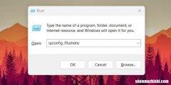 在Windows11上刷新DNS缓存的4种方法