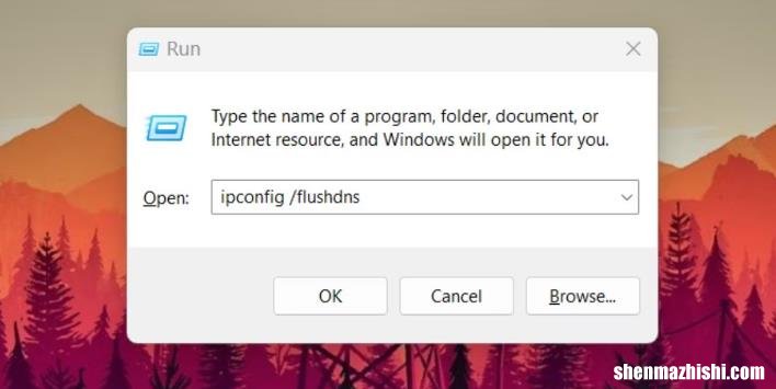 在Windows11上刷新DNS缓存的4种方法