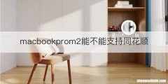 macbookprom2能不能支持同花顺