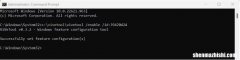 如何在Windows11任务管理器中启用搜索框