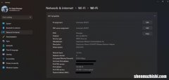 在Windows11上查找MAC地址的4种方法