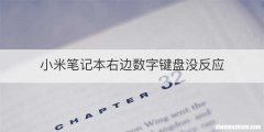 小米笔记本右边数字键盘没反应