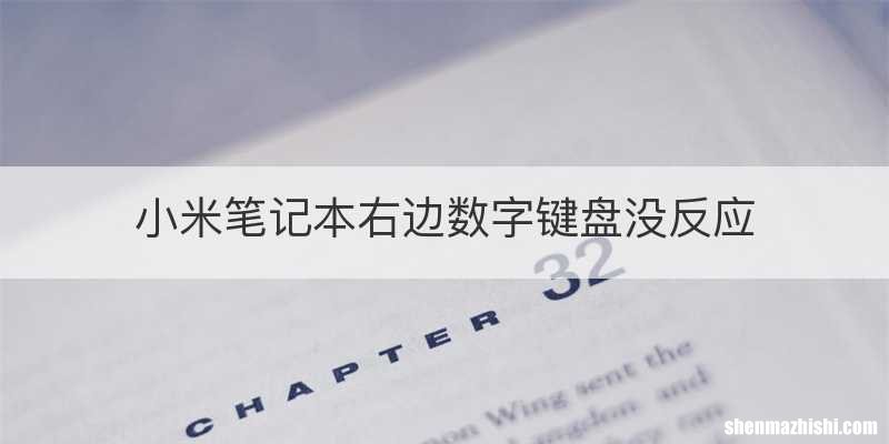 小米笔记本右边数字键盘没反应