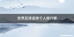 世界足球进球个人排行榜