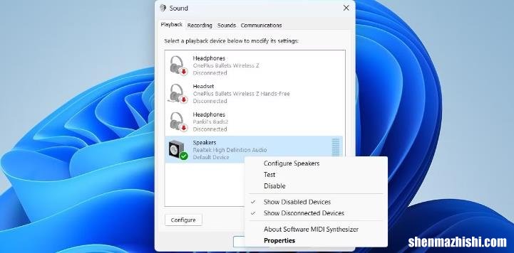 如何让Windows11电脑静音？禁用声音设备方法