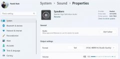 如何让Windows11电脑静音？禁用声音设备方法