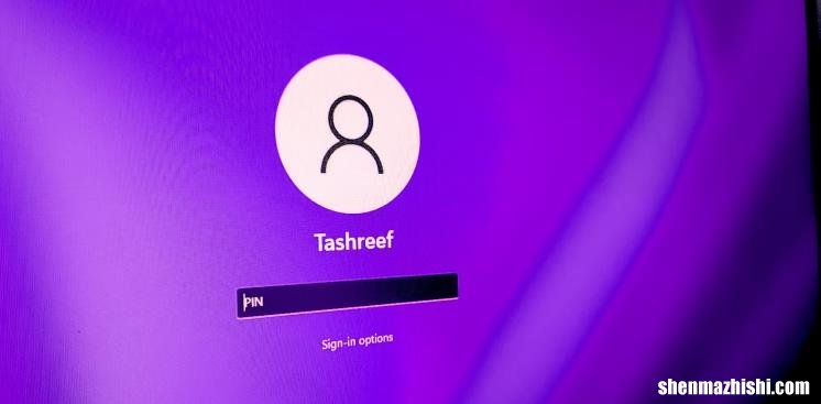 如何在Windows11上设置和删除PIN，操作方法