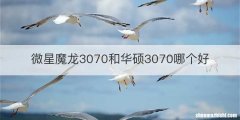 微星魔龙3070和华硕3070哪个好