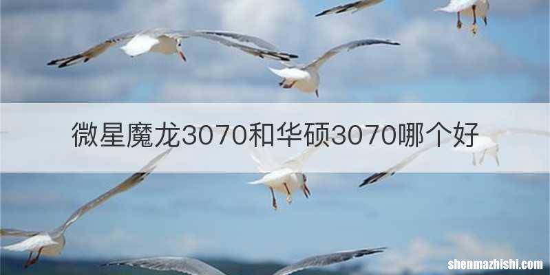 微星魔龙3070和华硕3070哪个好