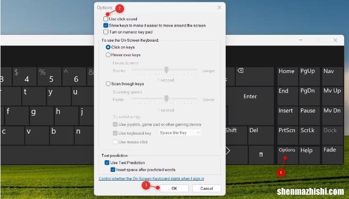 如何在Windows11上关闭键盘声音，设置方法
