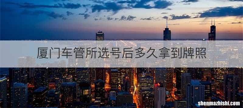 厦门车管所选号后多久拿到牌照