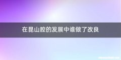 在昆山腔的发展中谁做了改良