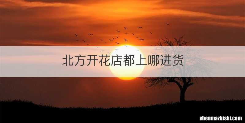 北方开花店都上哪进货