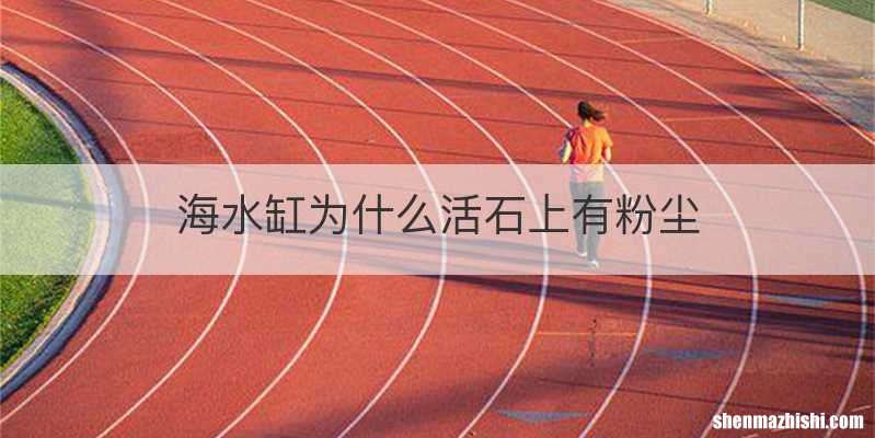 海水缸为什么活石上有粉尘