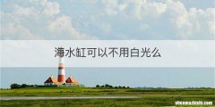 海水缸可以不用白光么